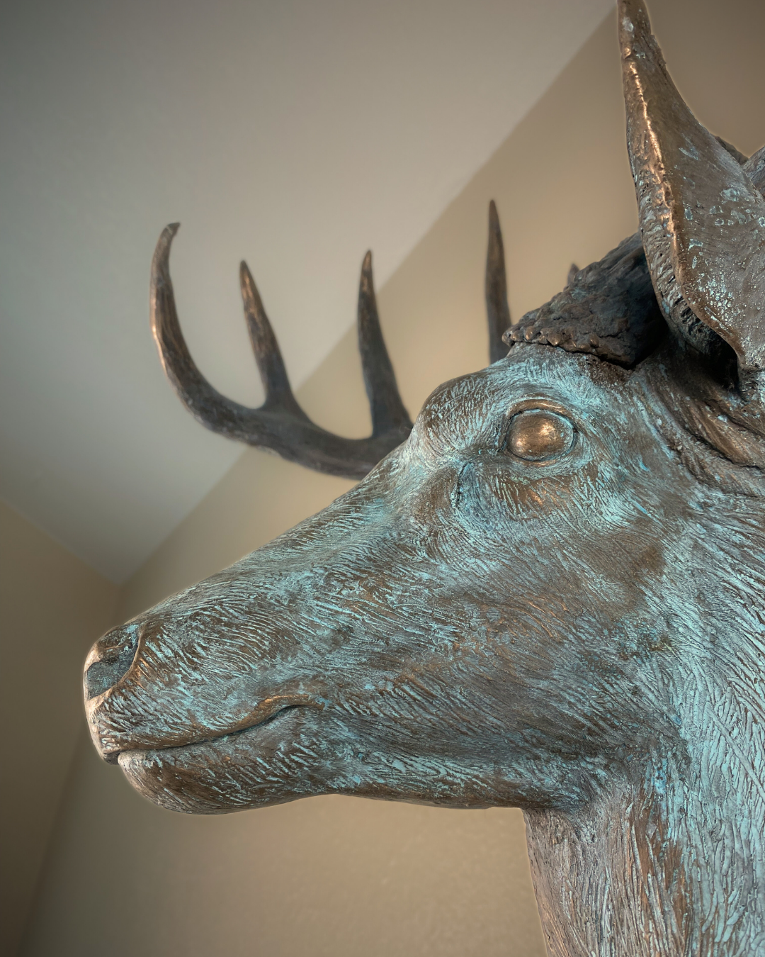 Verdigris Patinaed Bronze Deer Wall Mount Trophy Buck