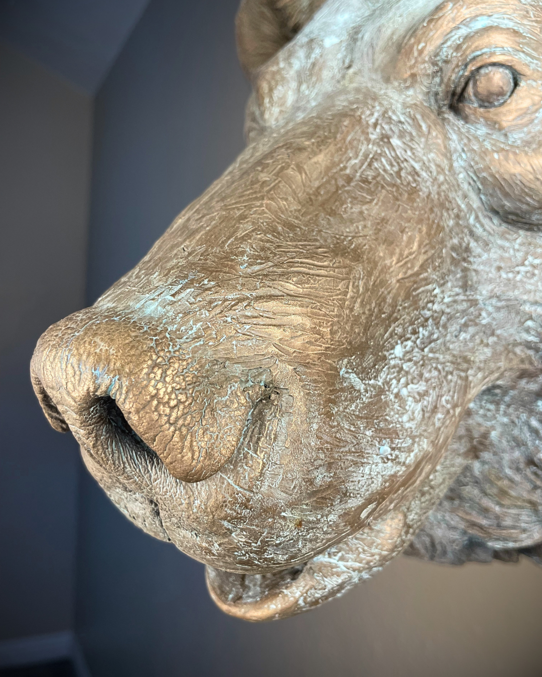 Verdigris Patinaed Bronze Bear Wall Mount