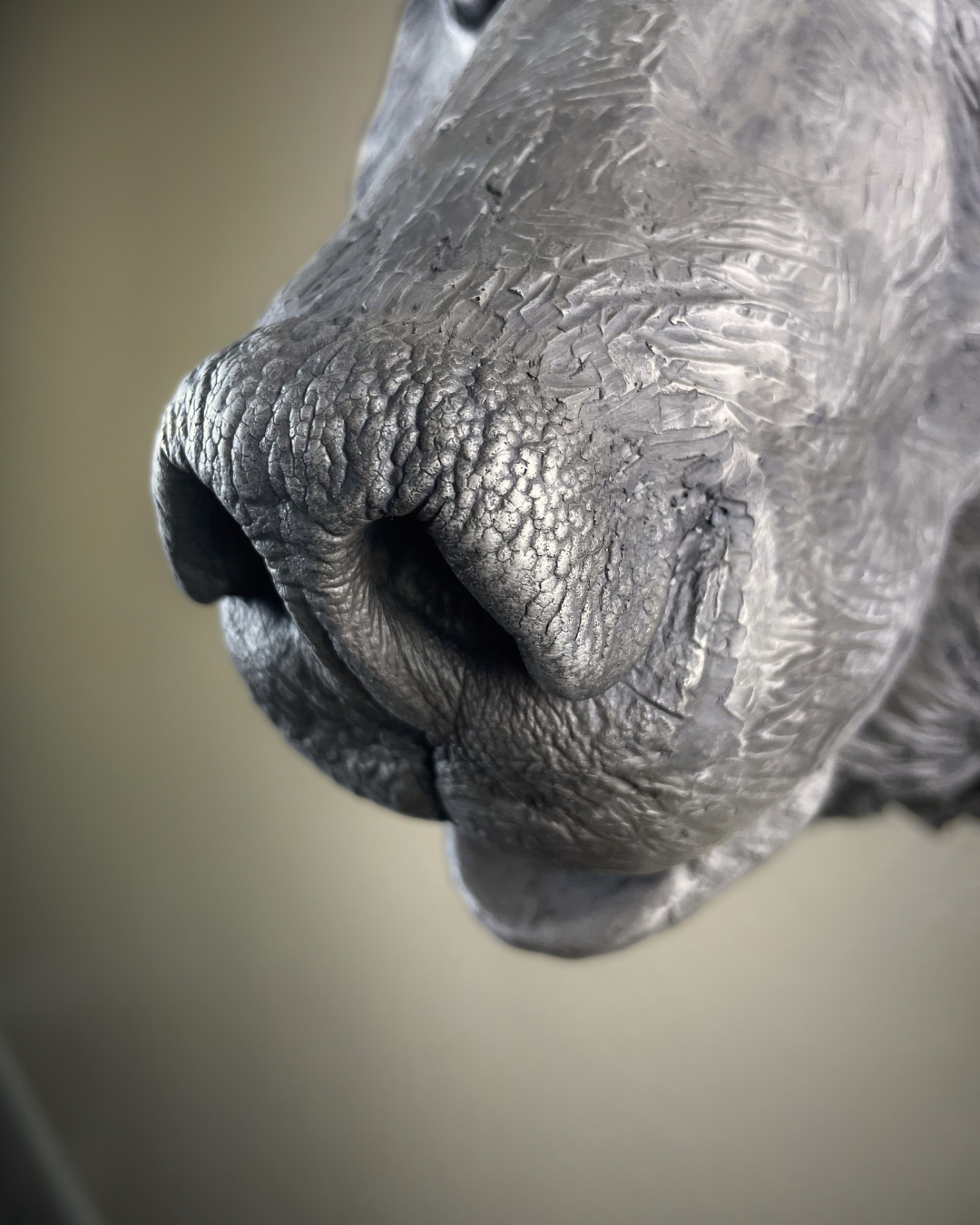 White Bronze Bear Wall Mount