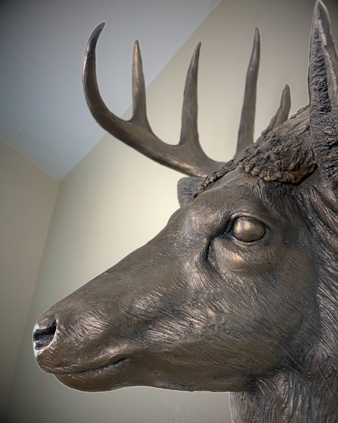 Bronze Deer Wall Mount Trophy Buck