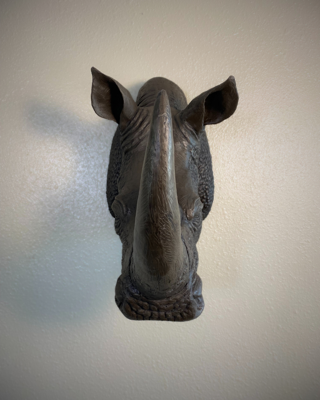 Bronze Rhinoceros Head Mount