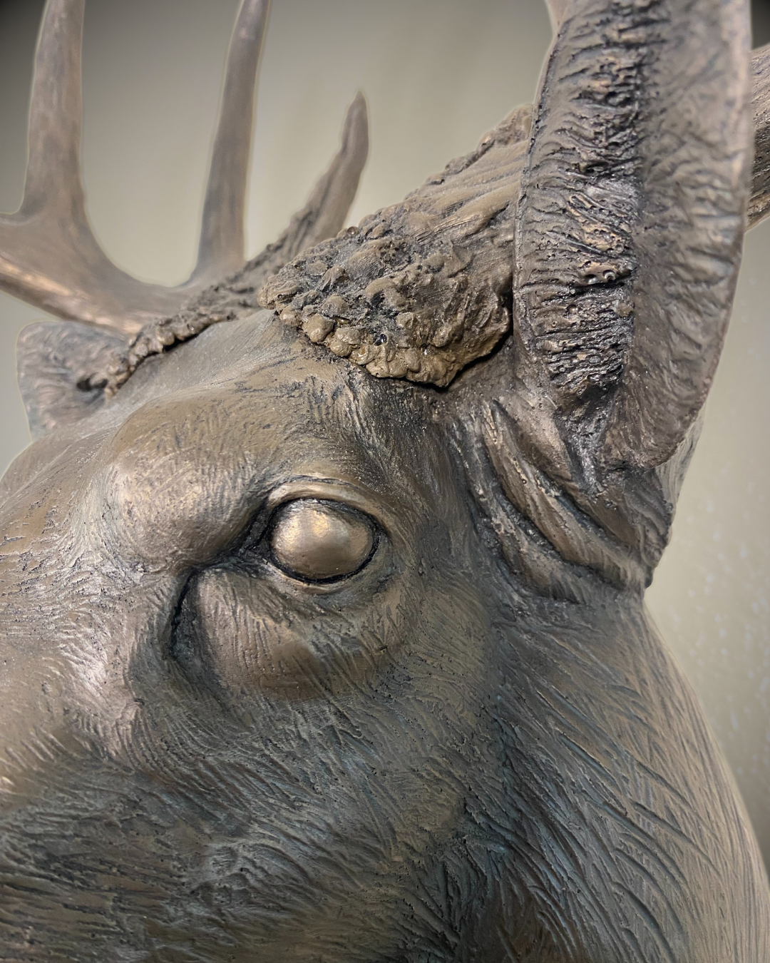 Bronze Deer Wall Mount Trophy Buck