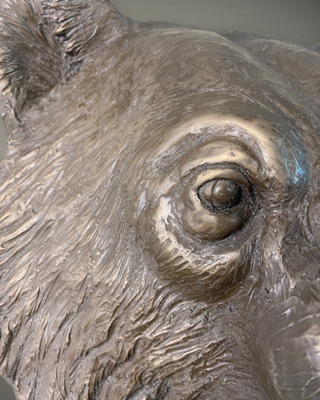 Bronze Bear Wall Mount