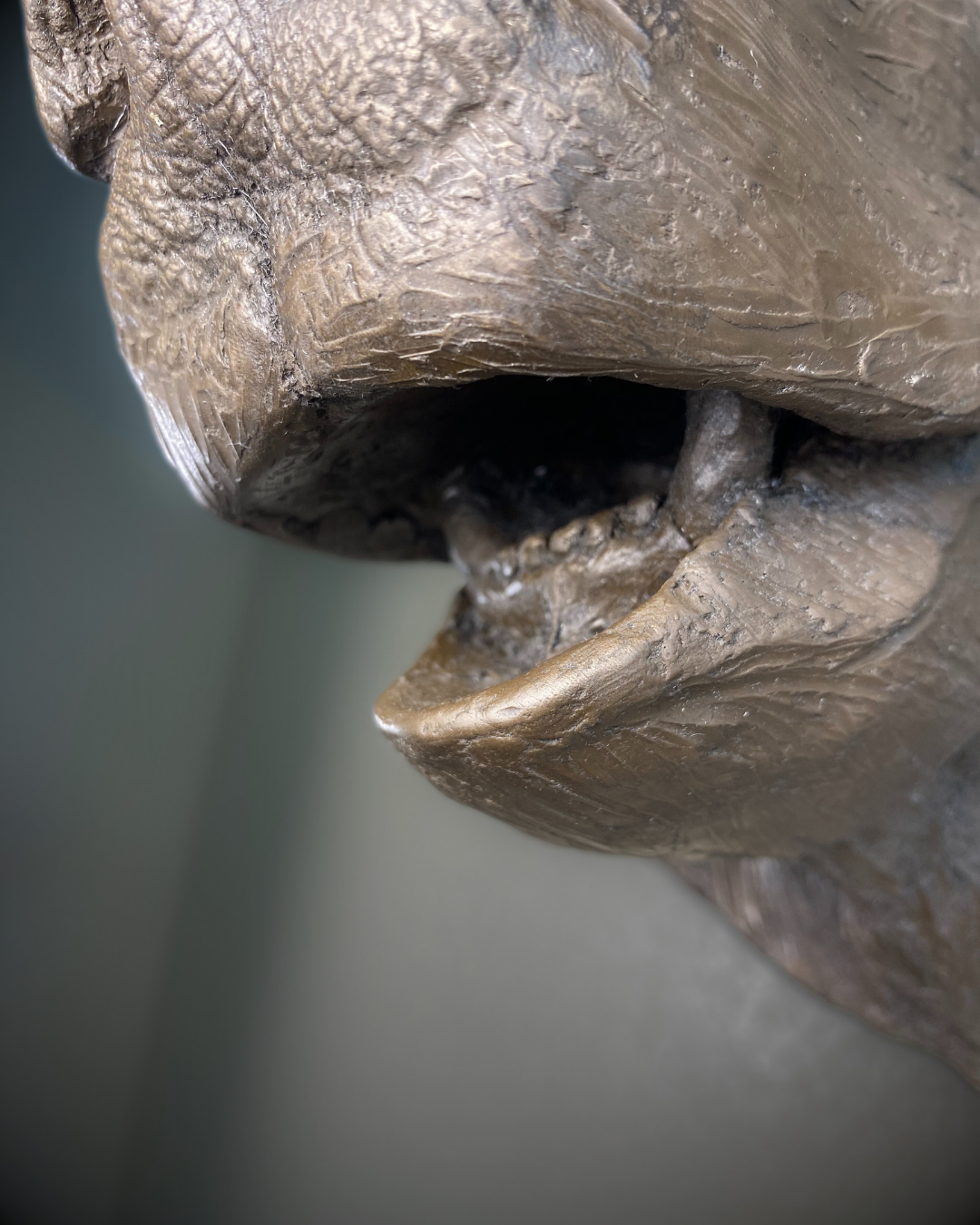 Bronze Bear Wall Mount