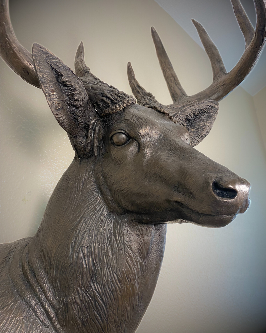 Bronze Deer Wall Mount Trophy Buck