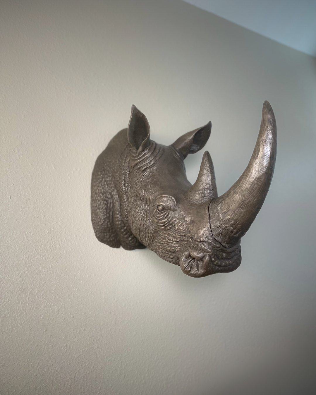 Bronze Rhinoceros Head Mount