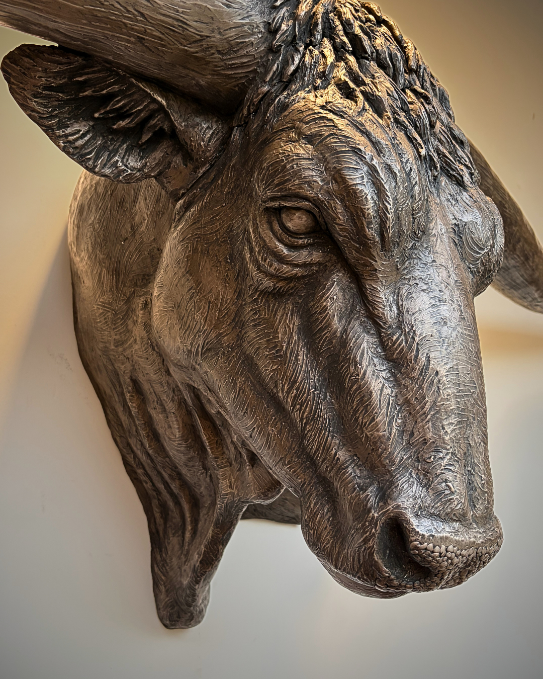 Large Bronze Texas Longhorn Cow