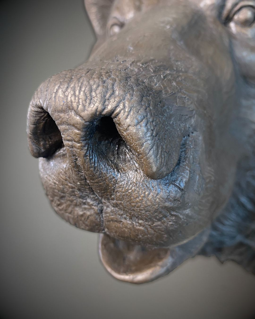 Bronze Bear Wall Mount